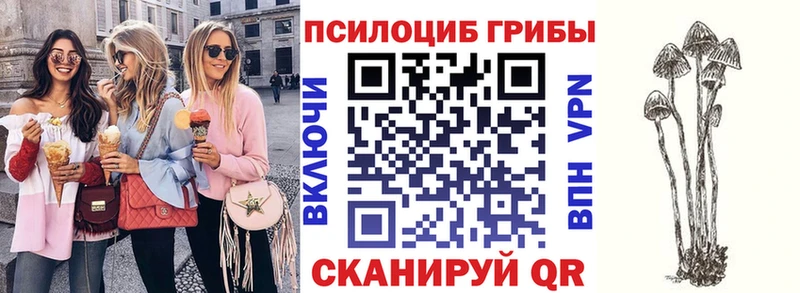 Псилоцибиновые грибы GOLDEN TEACHER  Ядрин 